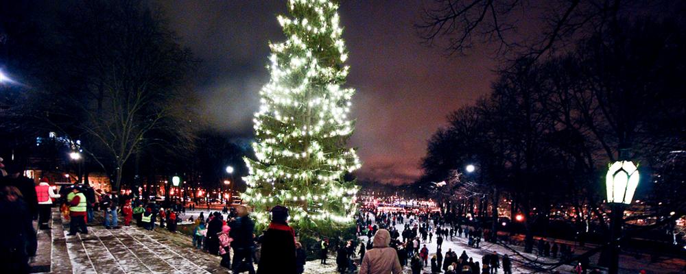 Santa Lucia - the after scene